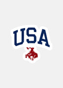 USA Sticker