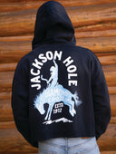 Sun Faded Zip Hoodies (Preorder)