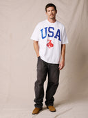 USA 250 Collection