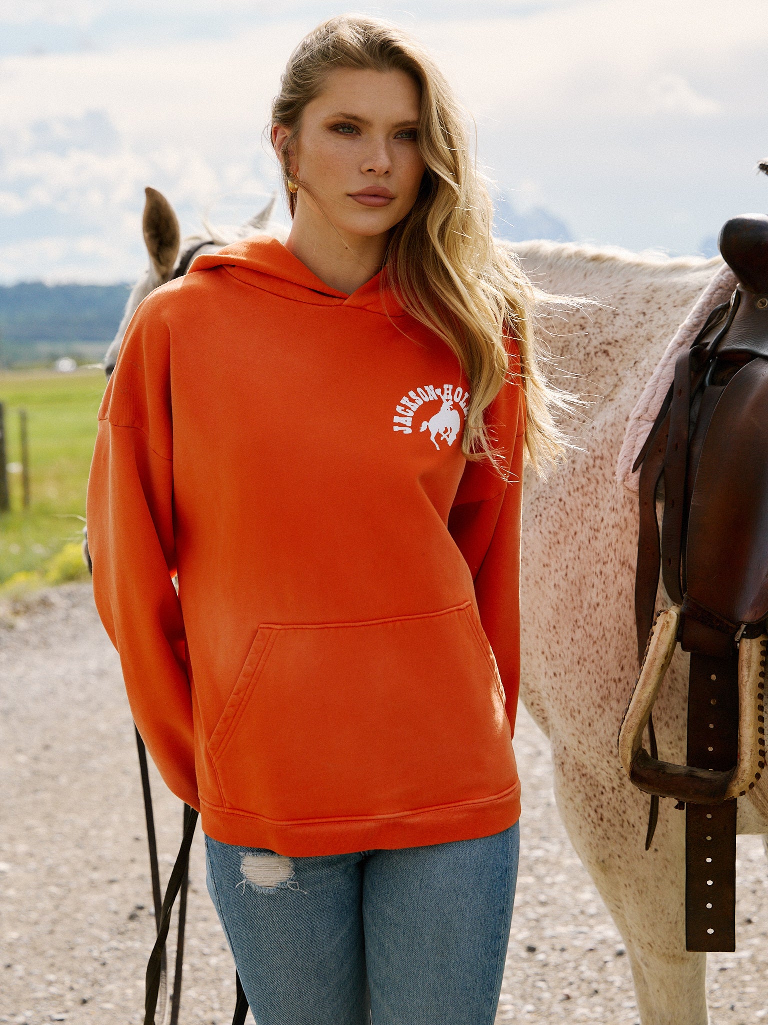 Classic Sweatshirt | Jackson Hole hoodies – Diamond Cross Ranch