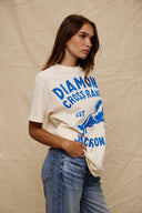 DCR Blue Horse