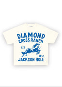 DCR Blue Horse