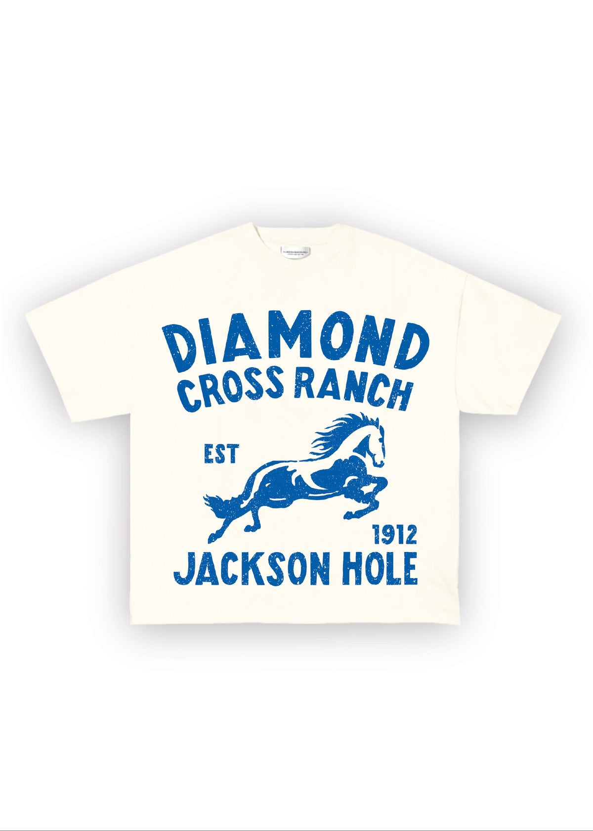 DCR Blue Horse
