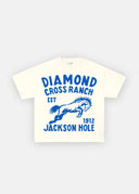 DCR Blue Horse