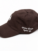 2026 Cotton Dad Cap