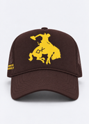 Branded Bronc Trucker