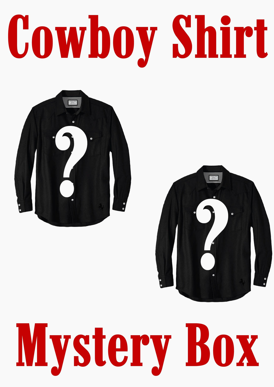 Diamond Cross Ranch Cowboy Shirt Mystery Box