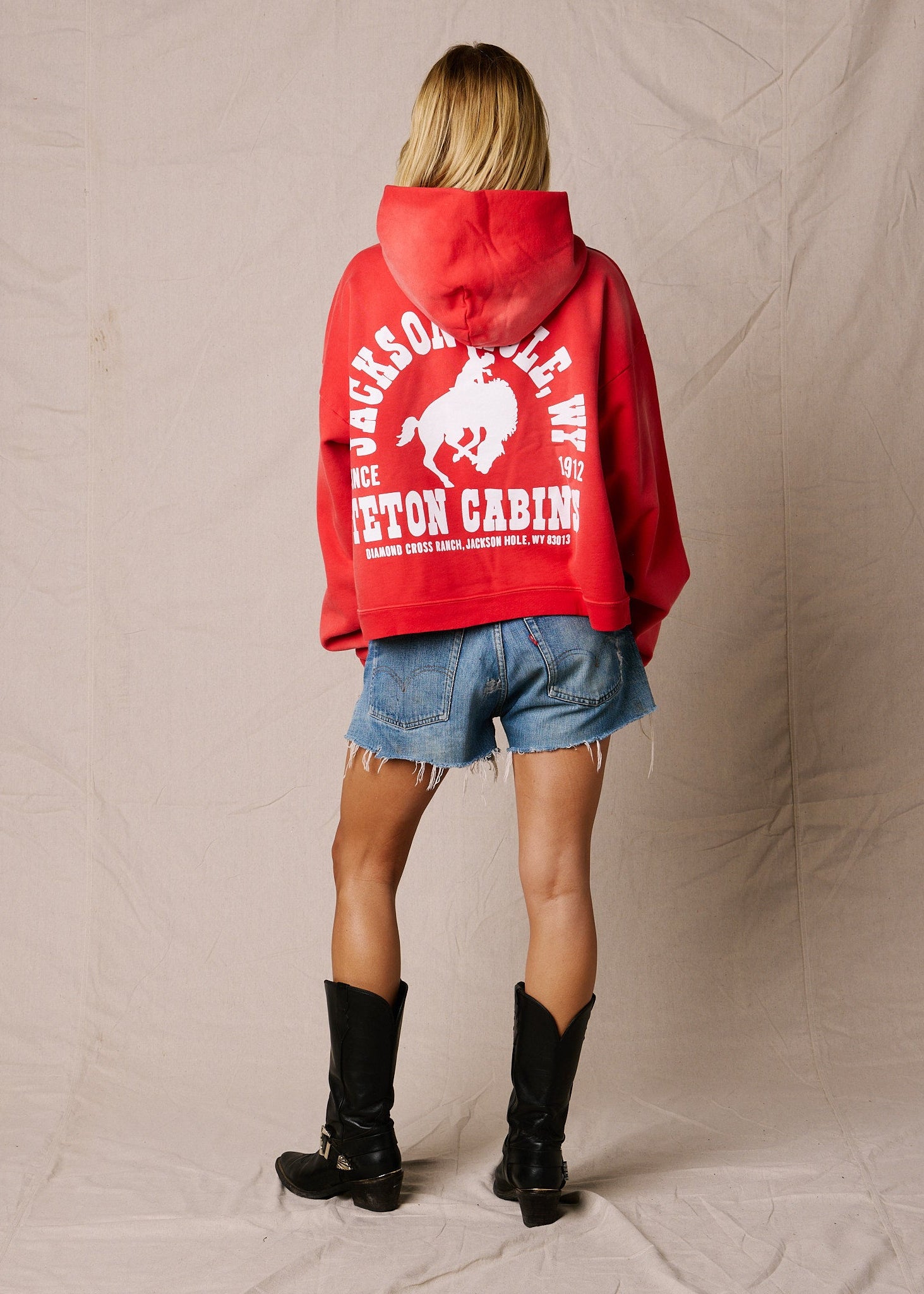 Sun Faded Buckin Hoodie | Diamond Cross Ranch