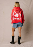 Sun Faded Buckin Hoodie