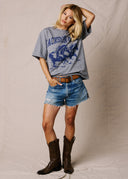Heather Grey Horse