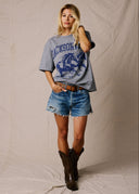 Heather Grey Horse