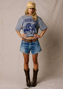 Heather Grey Horse