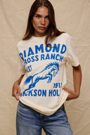 DCR Blue Horse