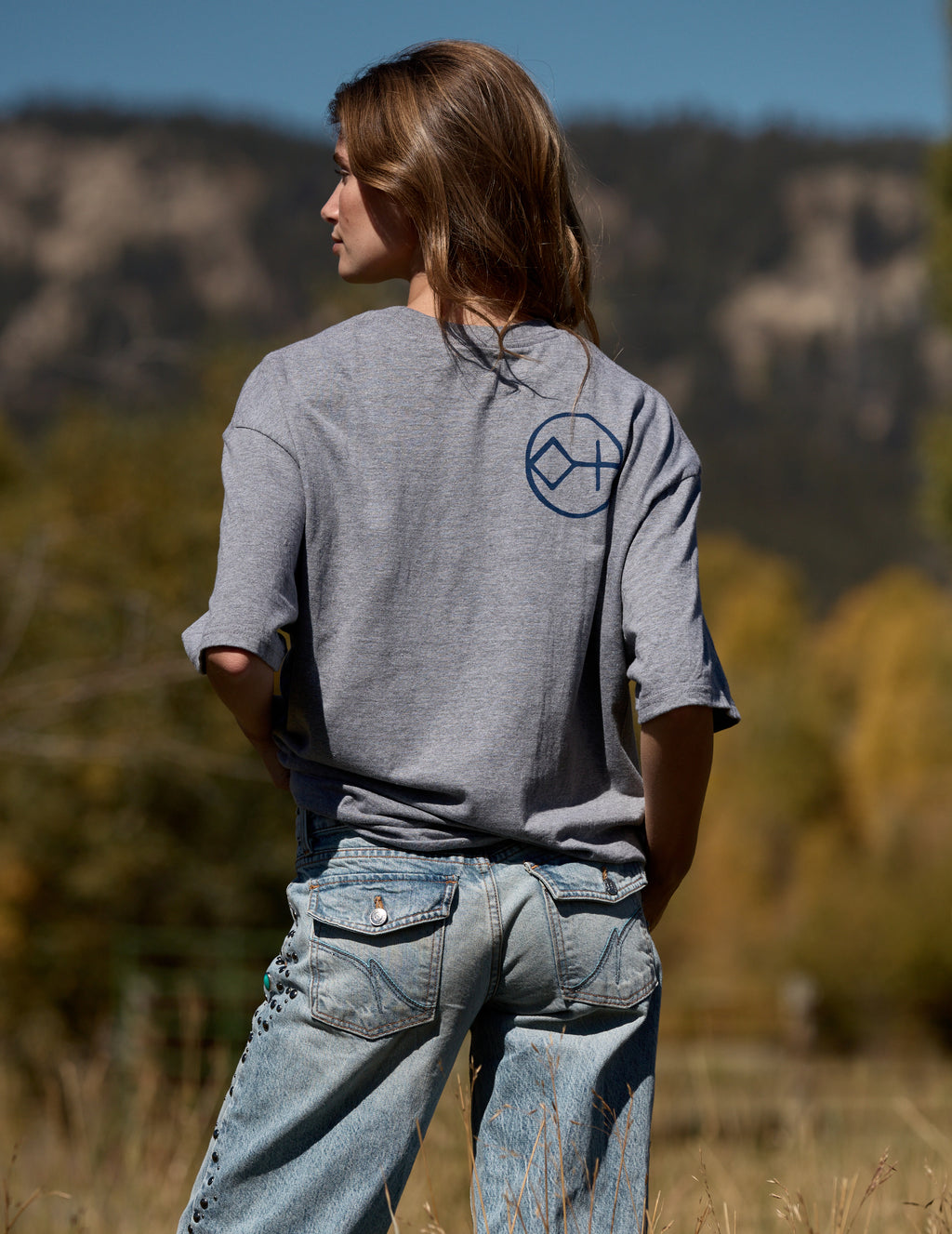 Heather Grey Horse