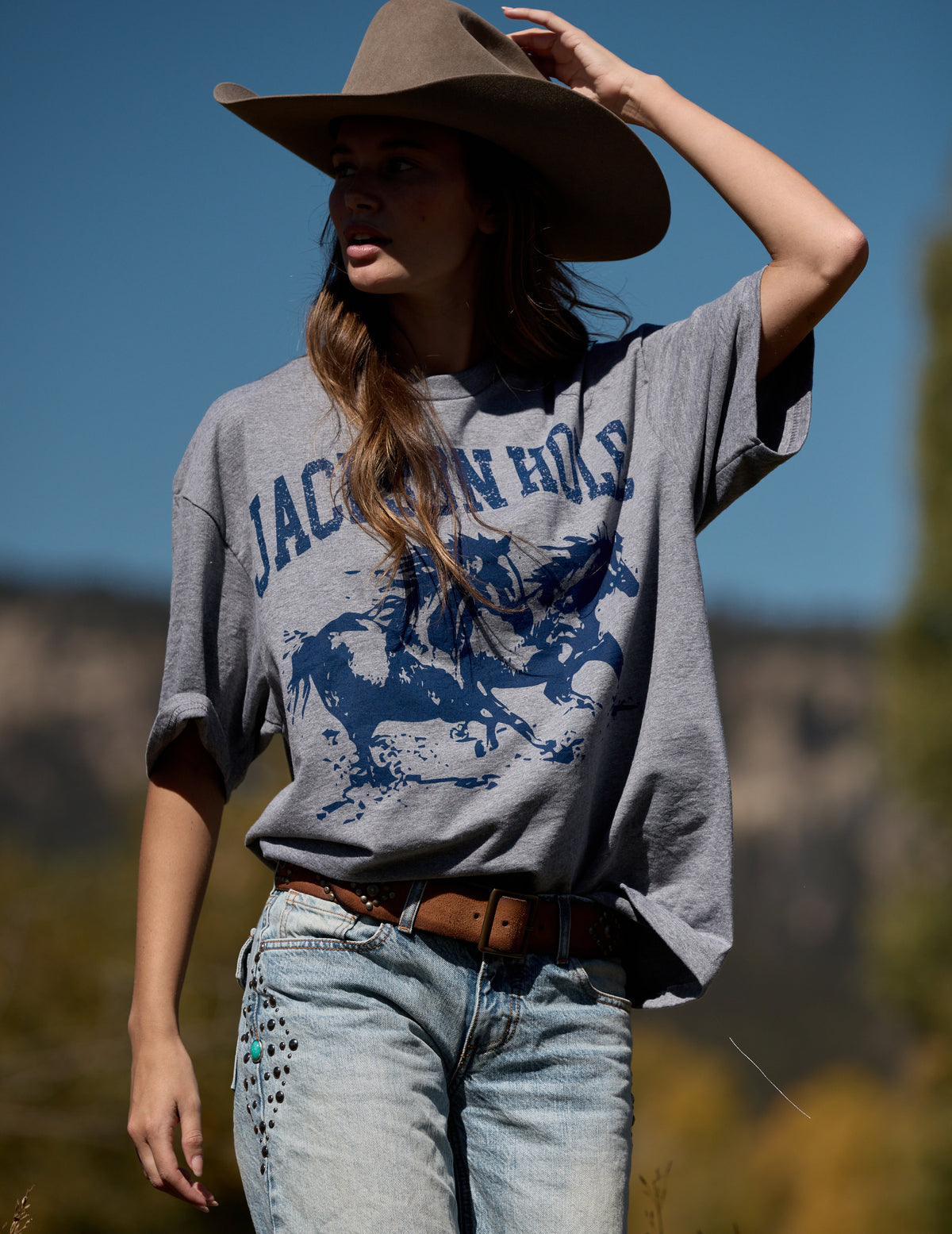 Heather Grey Horse