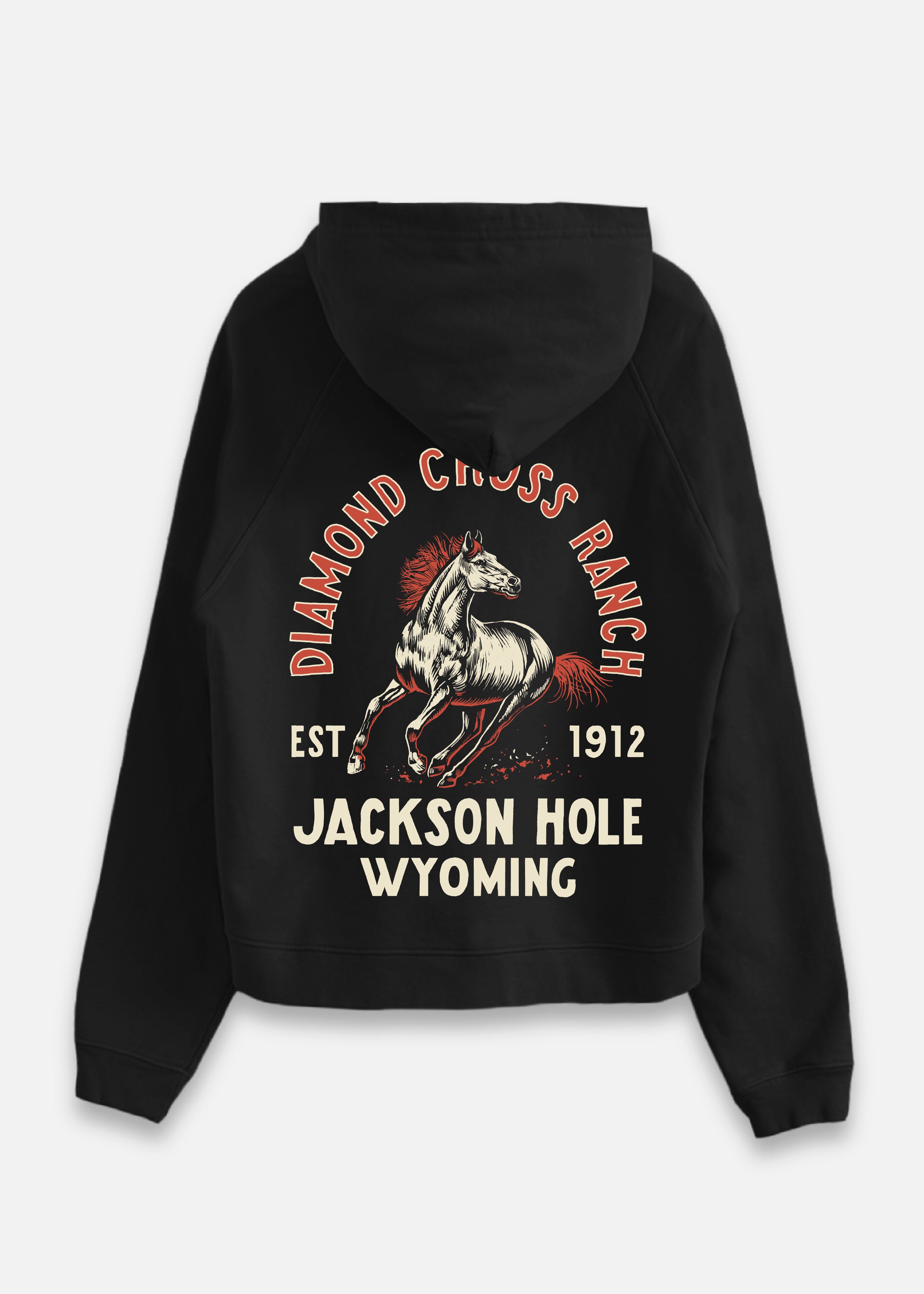 Bronco Hoodie