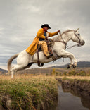 DCR Blue Horse