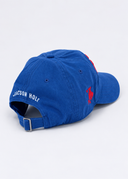 USA 250 Collection