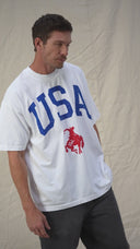 USA 250 Collection