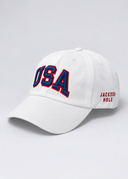 USA 250 Collection
