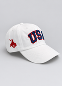 USA 250 Collection