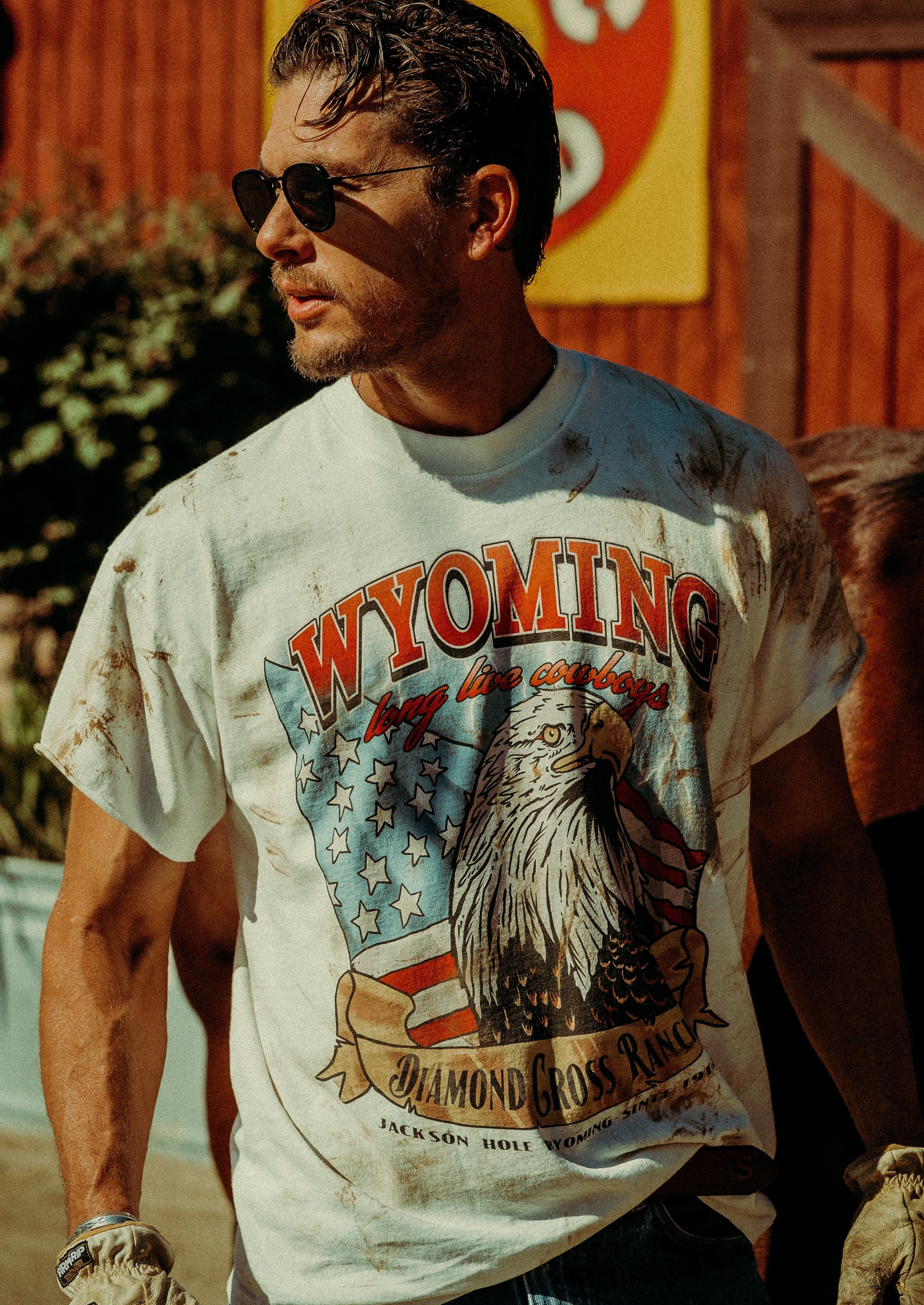 Wilderness Eagle – Diamond Cross Ranch - Main Image