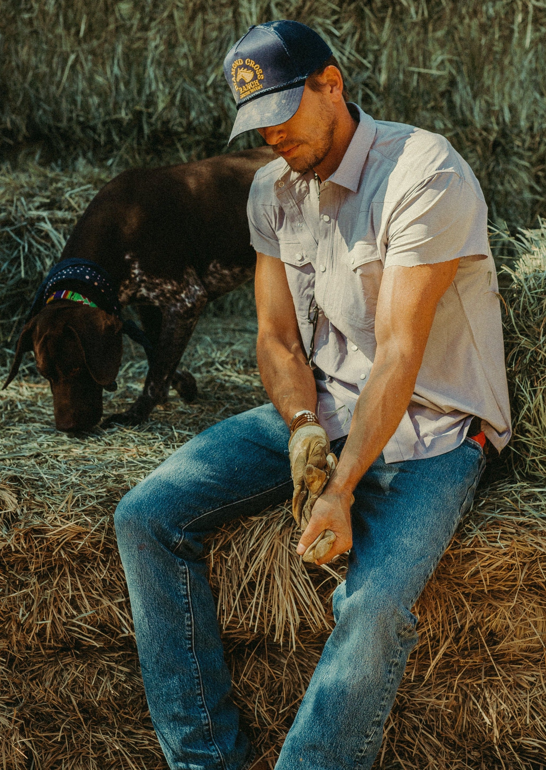 Short Sleeve Cowboy Shirt